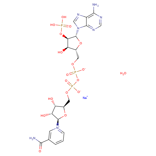 CAS:1184-16-3|B-Nicotinamide Halen Sodiwm Ffosffad Adenine Dinucleotide