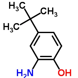CAS: 1199-46-8|2-Amino-4-tert-butylphenol